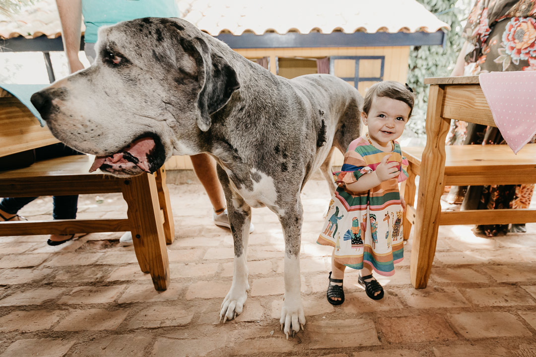Fotografia de Aniversário Infantil Via Roça Restaurante Campinas SP 