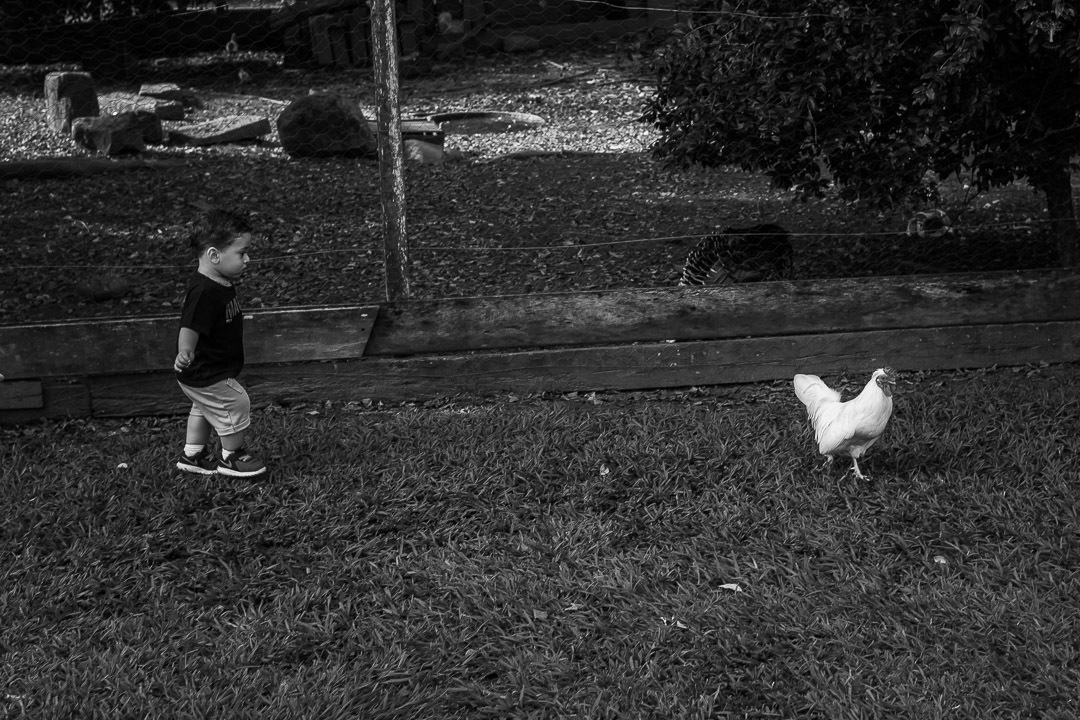 Fotografia de Aniversário Infantil Via Roça Restaurante Campinas SP 