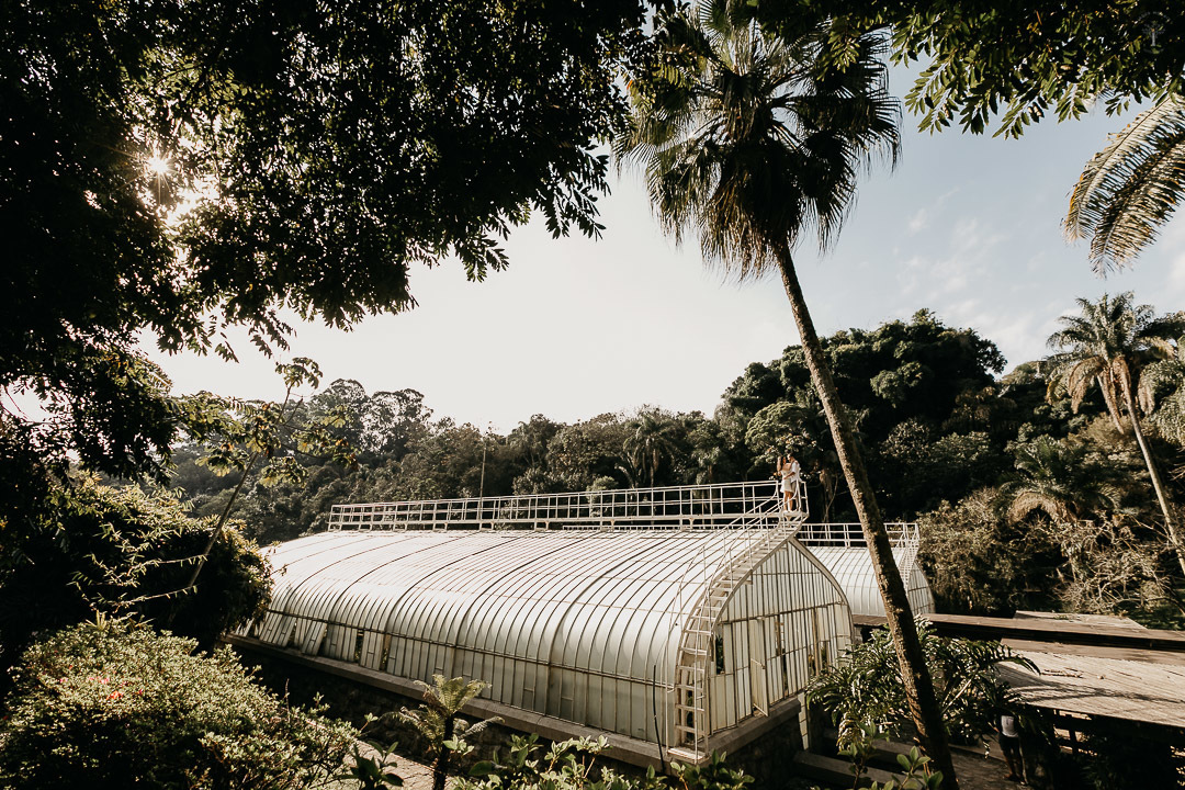 pre wedding por do sol no jardim botanico sp