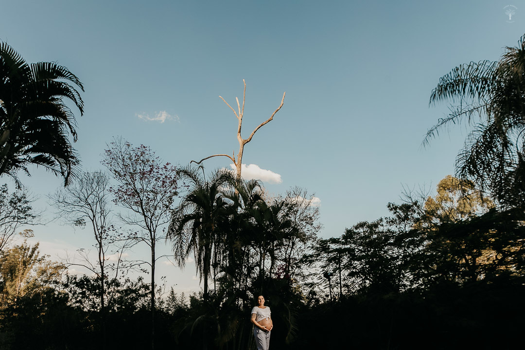 ensaio gestante campinas