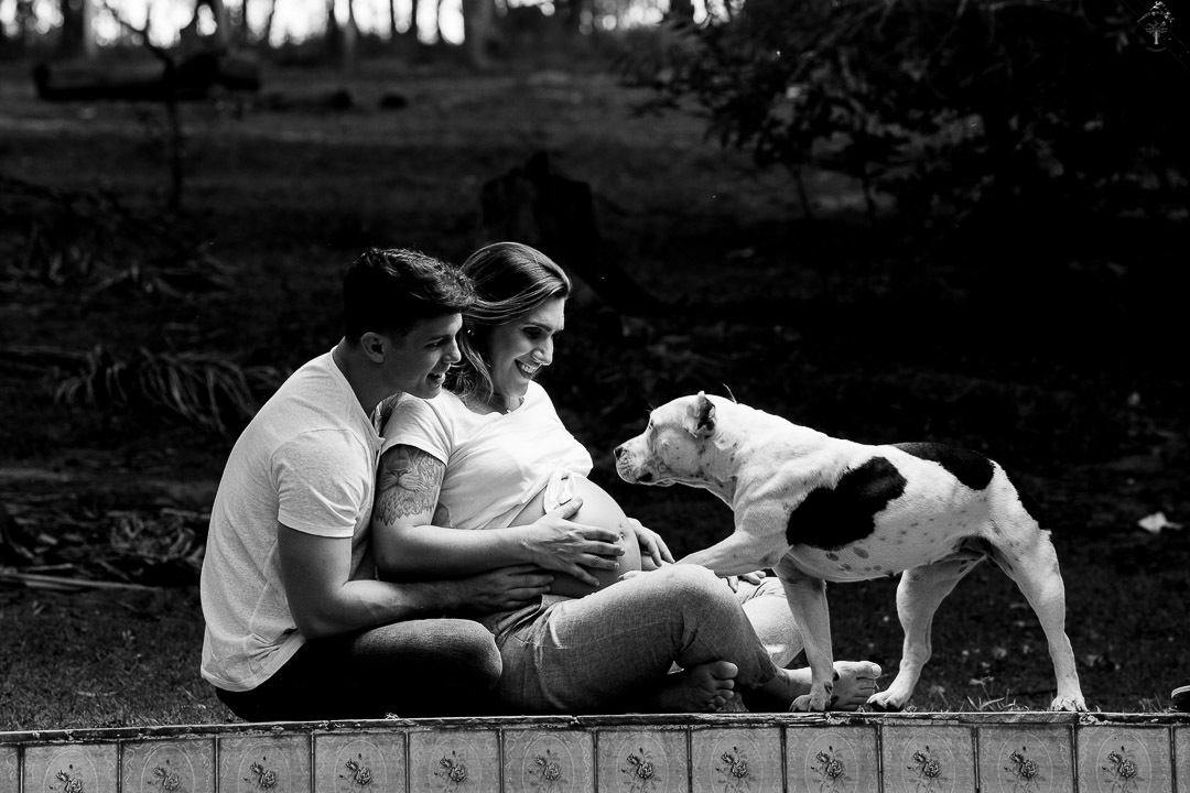 sessão gestante com cachorro campinas