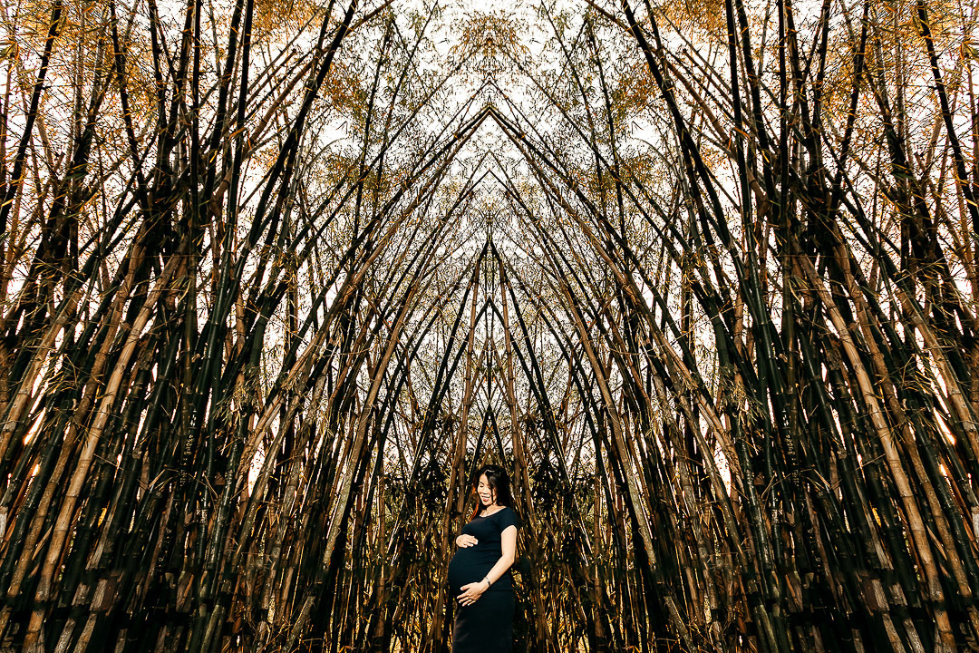 ensaio grávida parque ecológico campinas sp