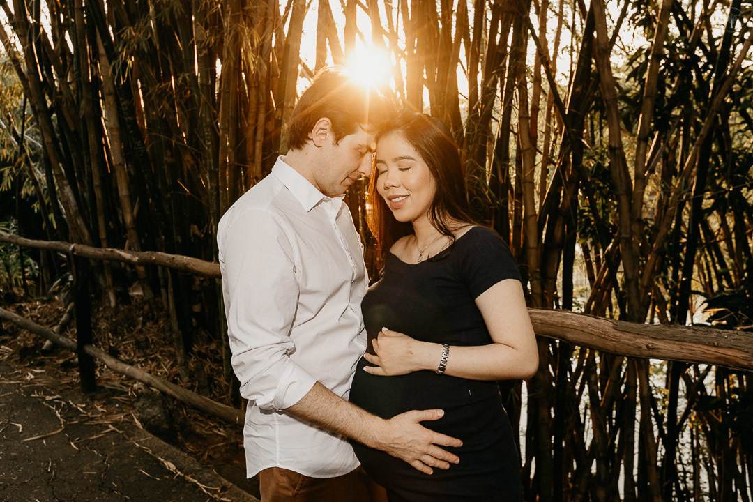 ensaio externo gestante parque ecológico