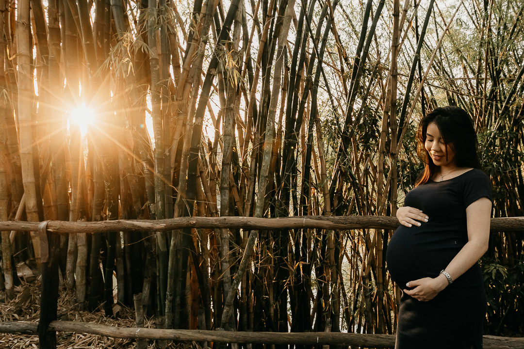 ensaio externo gestante parque 