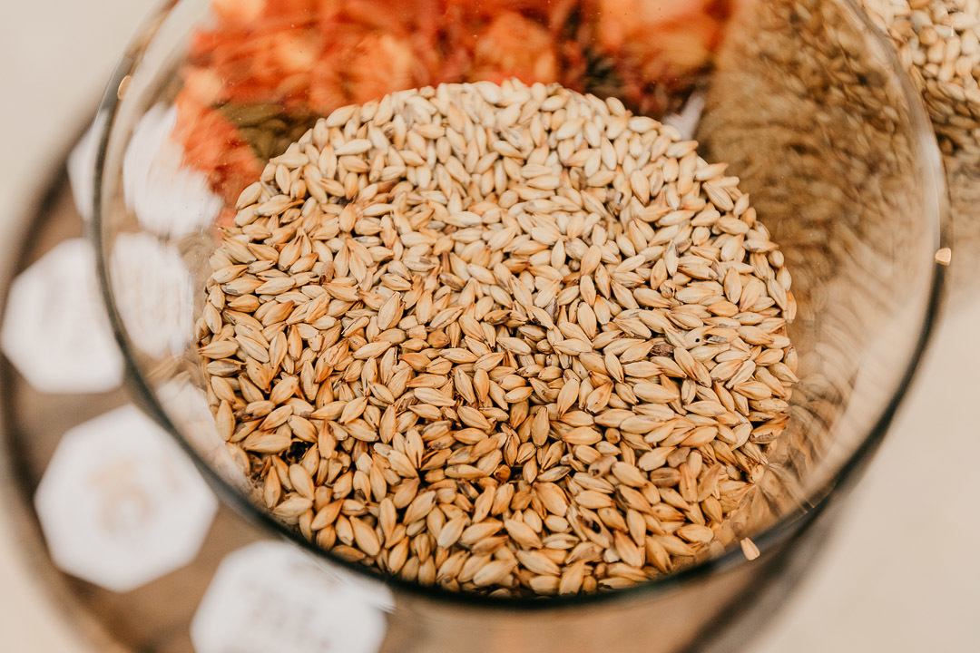 evento corporativo cervejaria kremer 10 anos fazenda portal girassol campinas sp