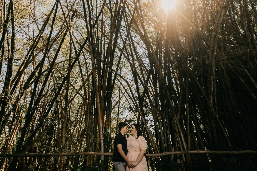 ensaio externo parque ecológico monsenhor campinas sp
