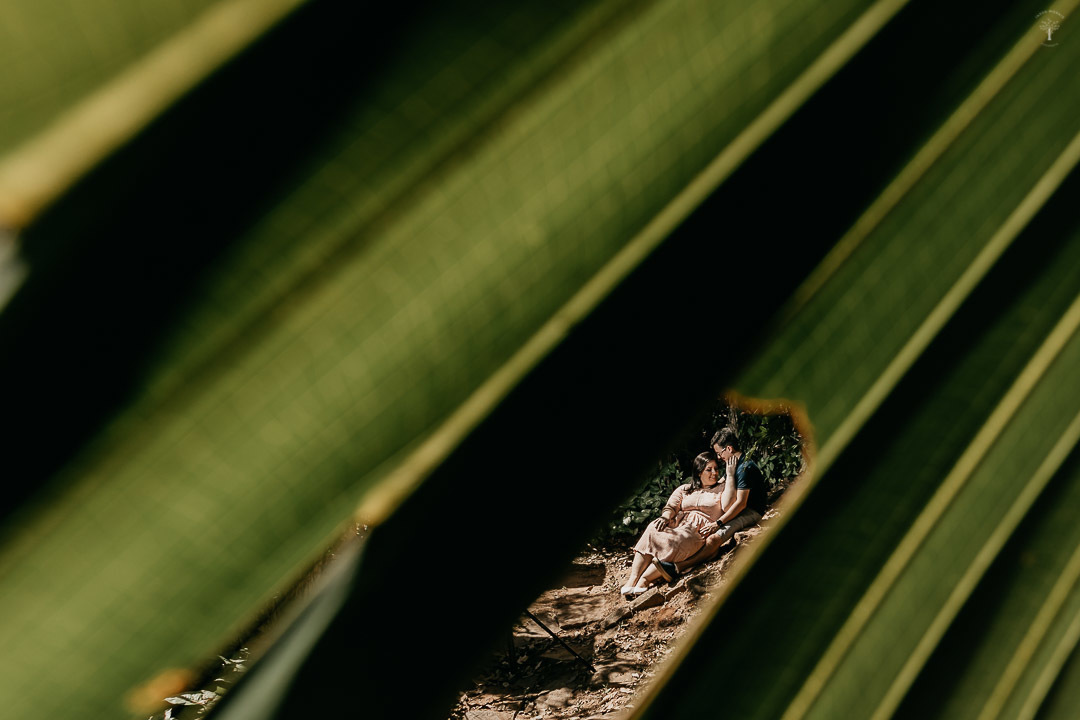 ensaio externo parque ecológico monsenhor salim campinas sp