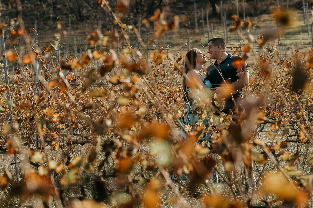 ensaio vinícola terrassos amparo