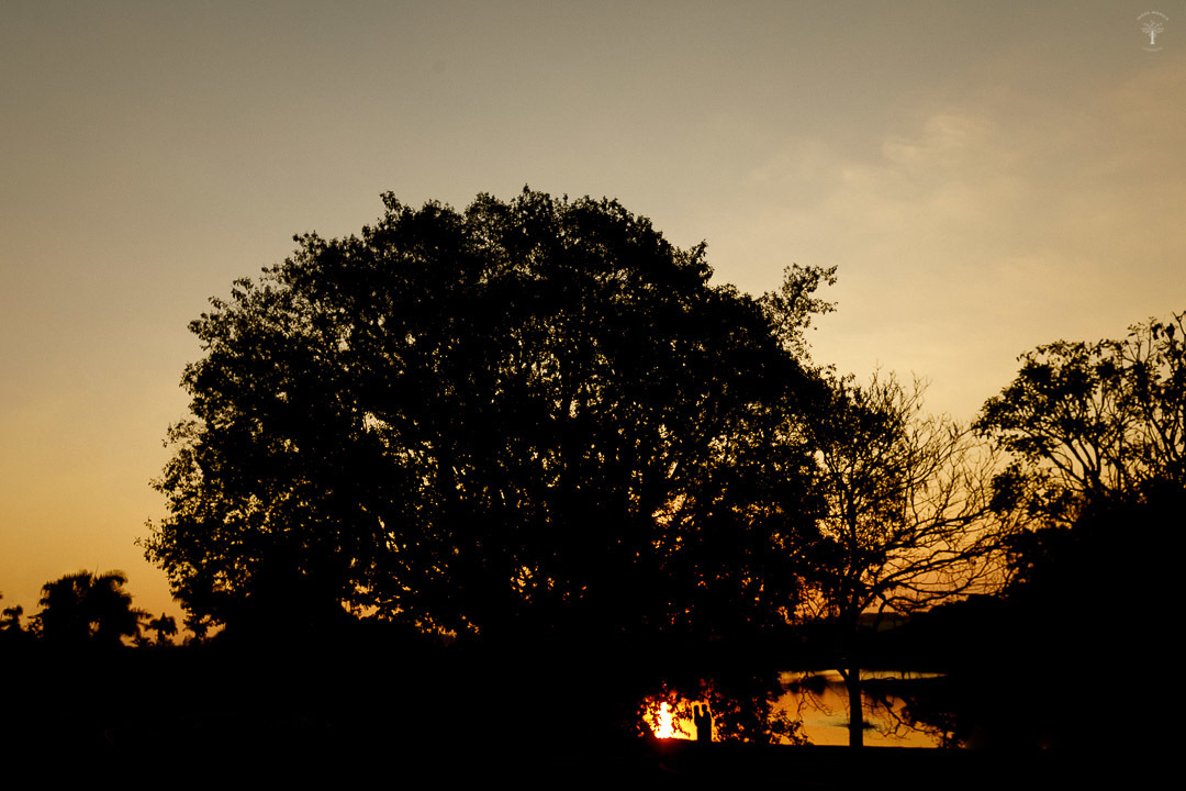 ensaio externo alphaville campinas sp