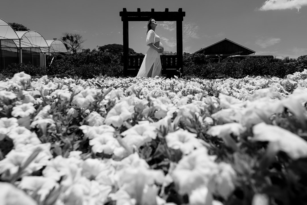 ensaio casal holambra sp