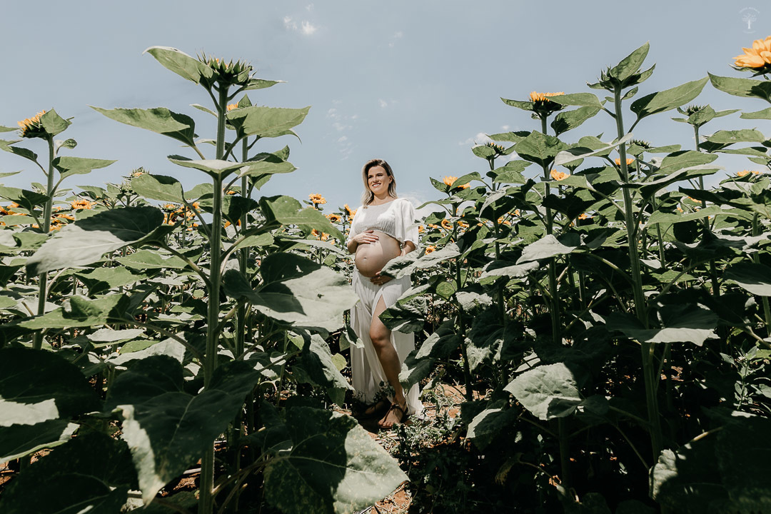 ensaio externo gestante holambra sp