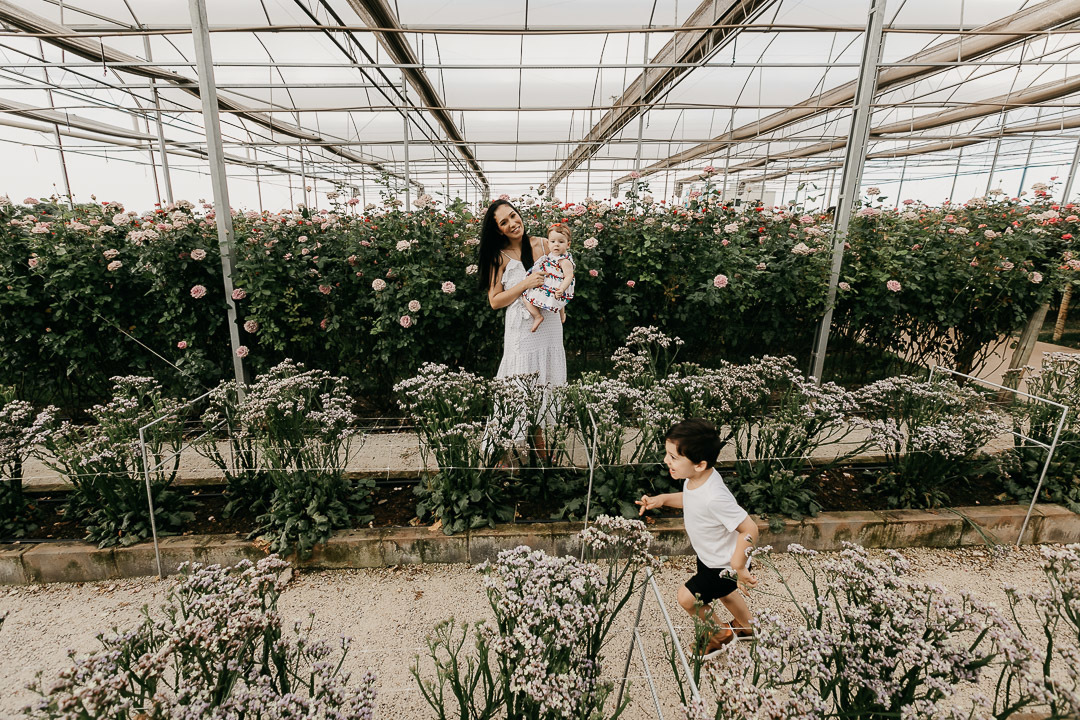 sessão fotográfica família holambra sp