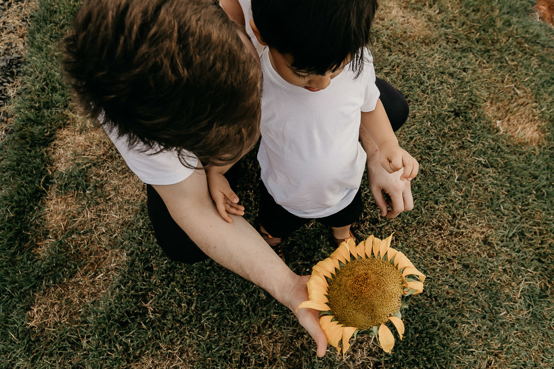 fotografia de família cidade das flores holambra são paulo