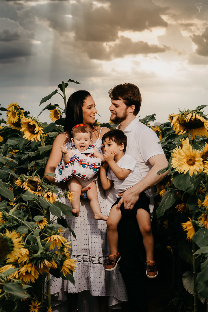 ensaio família holambra sp