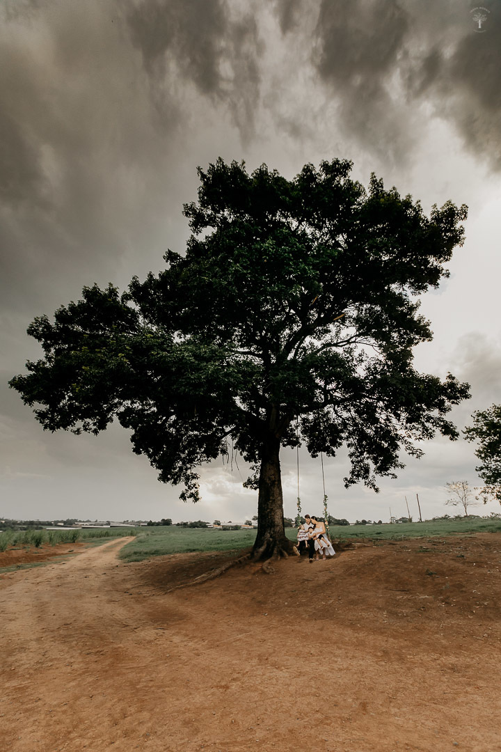 ensaio família holambra sp