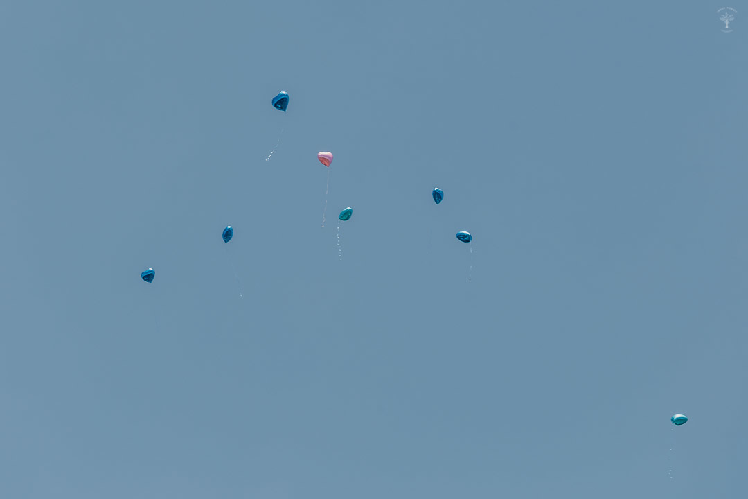 fotografia de casamento vila bella eventos vinhedo sp