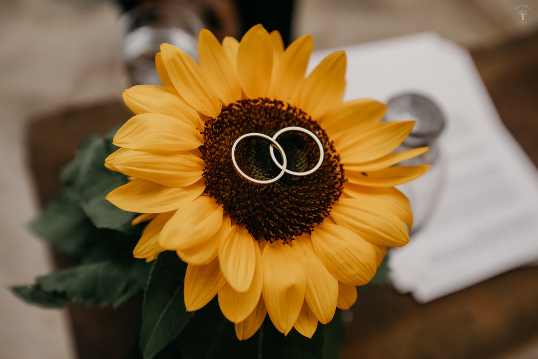 casamento homoafetivo campinas sp