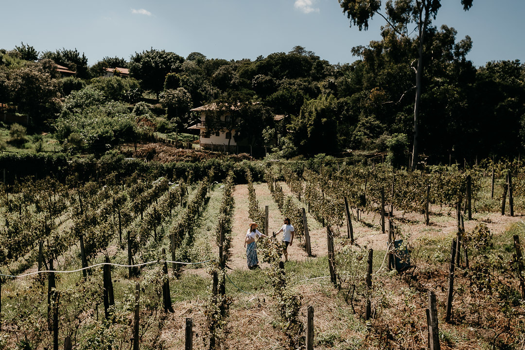 ensaio gestante vinícola chão de pedra valinhos sp