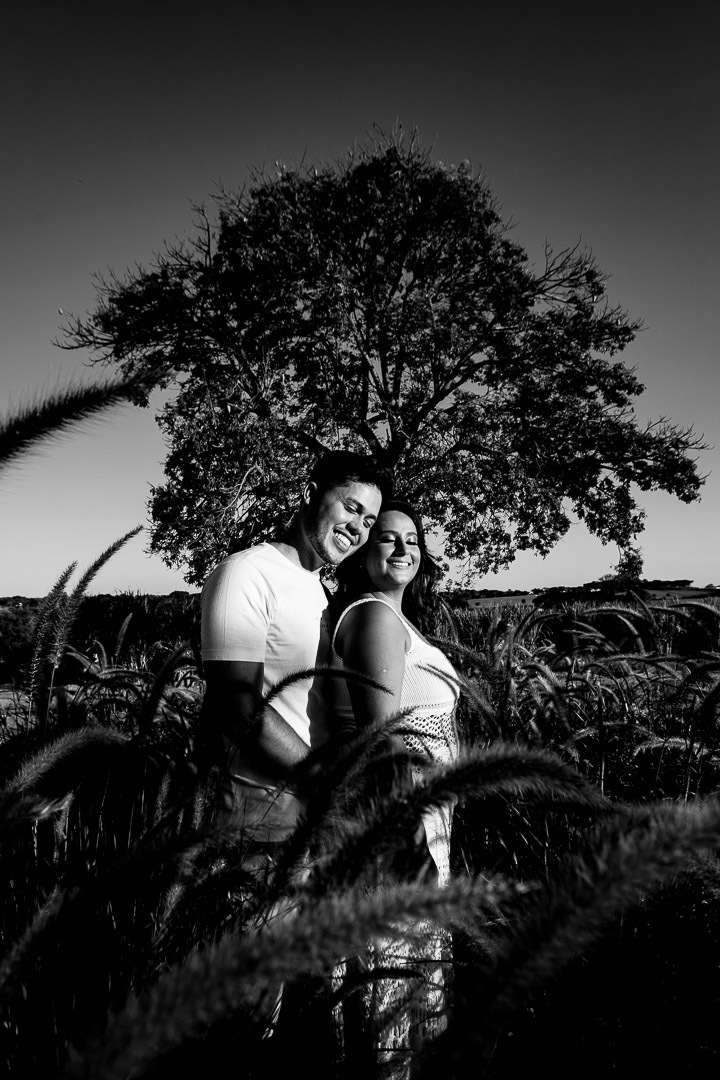 ensaio pré wedding holambra são paulo