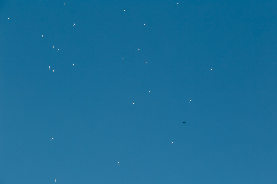 casamento mini wedding espaço mato dentro campinas sp