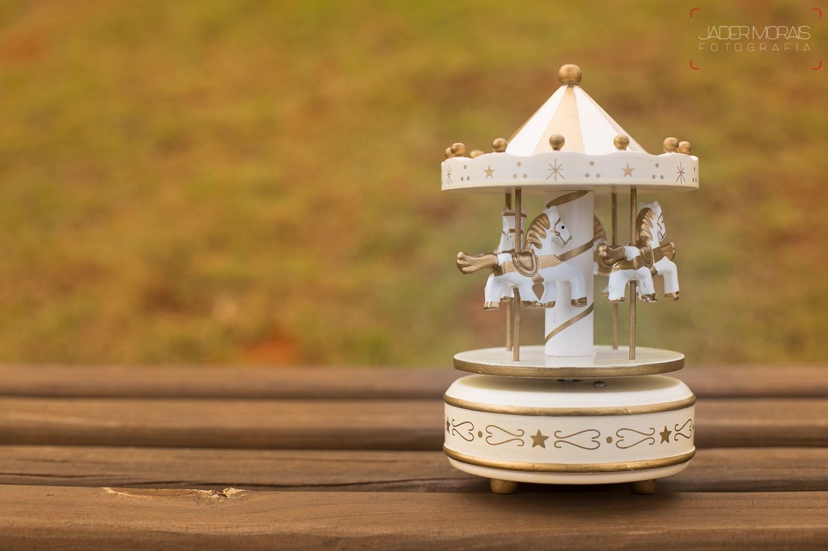 Fotografia de Gestante Swiss Park