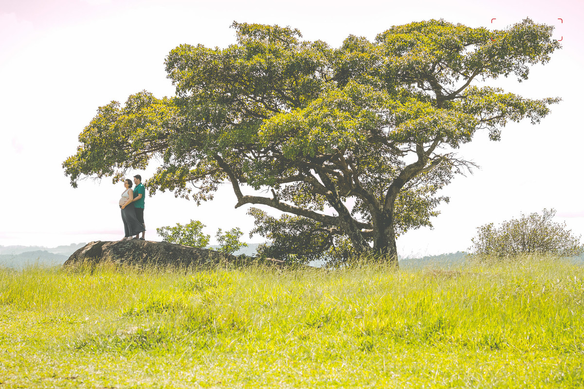 Fotografia de Gestante Alpinas Valinhos SP a espera da Duda