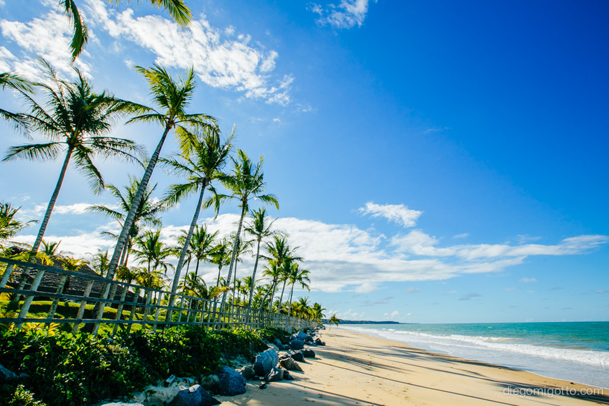 TATIANA + GUSTAVO | BAHIA |