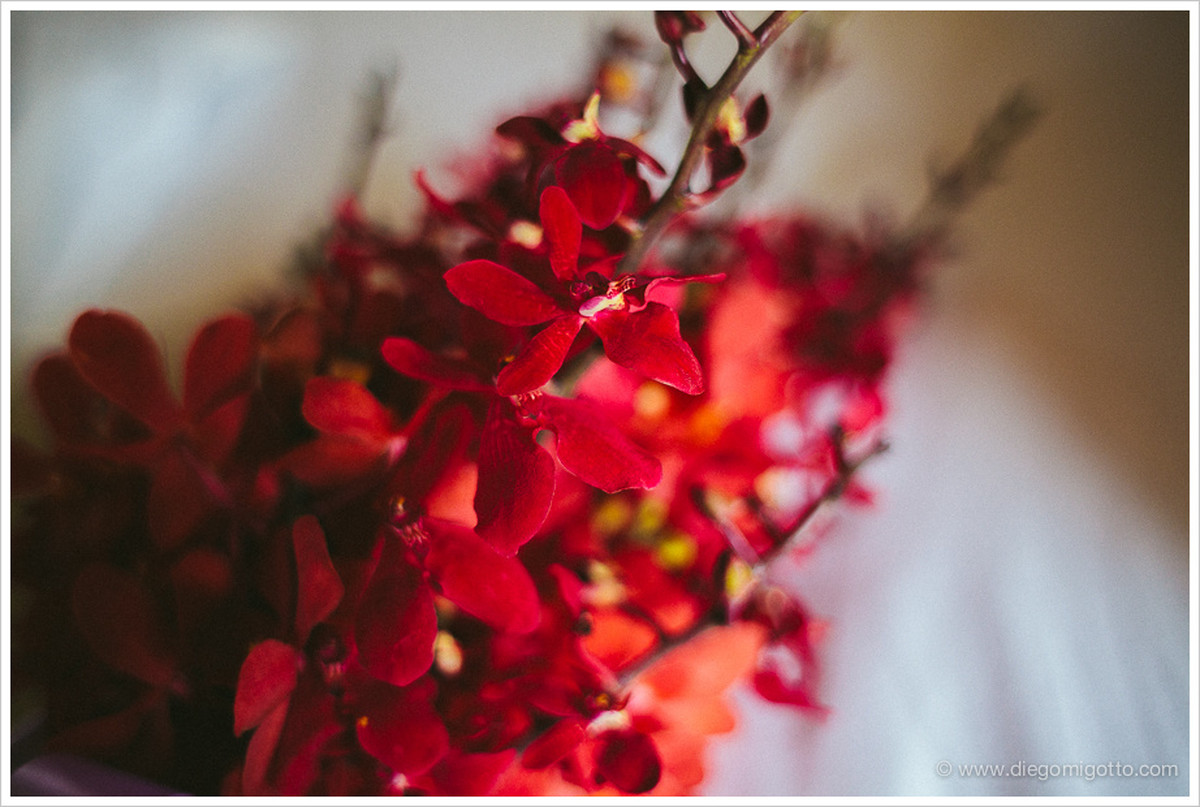 TATIANA + BRUNO | TAILÂNDIA |