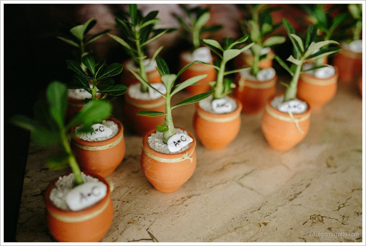 ANDRÉA + CLAUDIO | LONDRINA – PR |