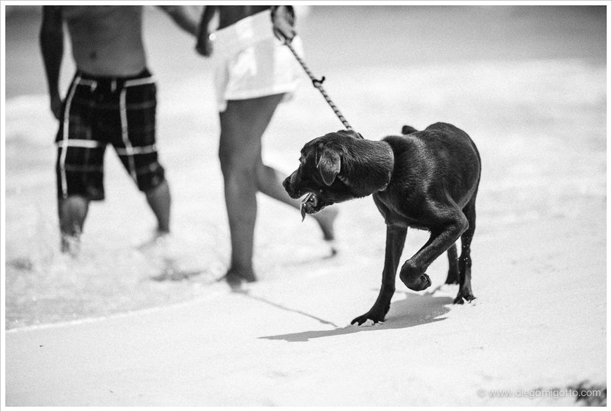 GABI + RENATO | RIO DE JANEIRO |