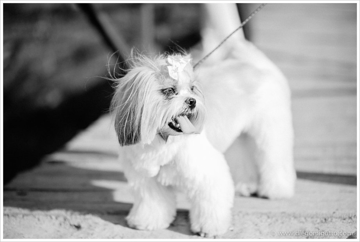 ALINE + IGOR | SOROCABA |