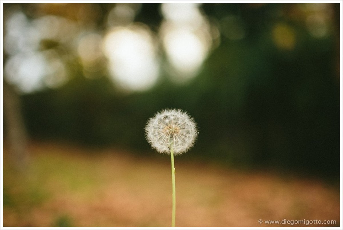 BRUNA + CAIO | CAMPOS DO JORDÃO |