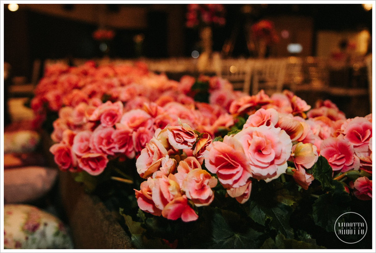 MARINA + RODRIGO | TAUBATÉ |