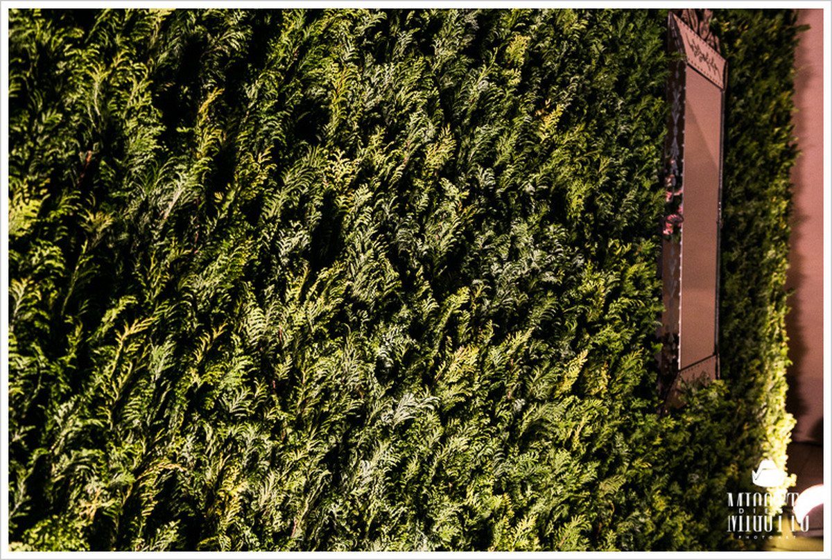 CAROL + MARCOS | TAUBATÉ |