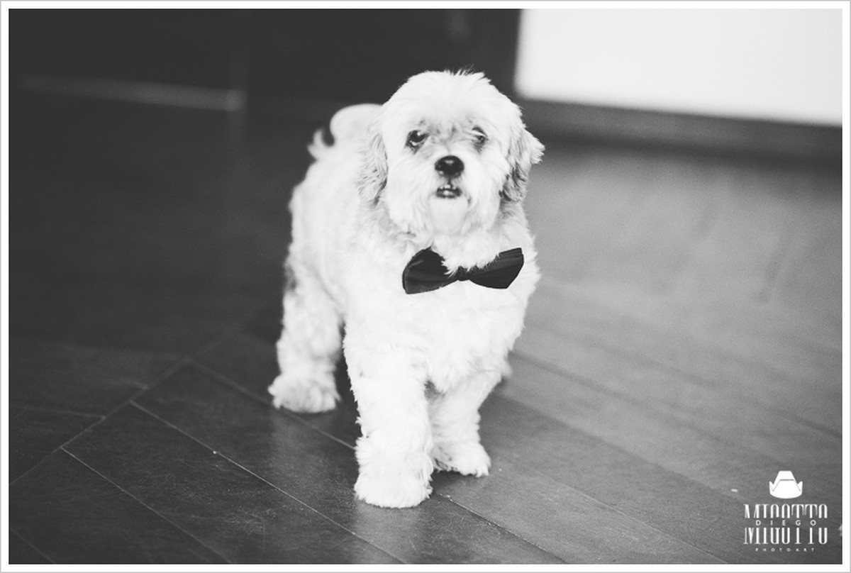 BEATRIS + BRUNO | TREMEMBÉ |