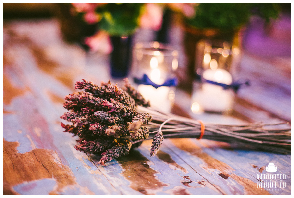 MICHELE + PAULO | CAMPOS DO JORDÃO |