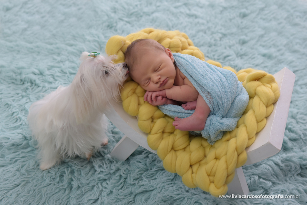 NEWBORN GUILHERME 6 DIAS - LIVIA CARDOSOFOTOGRAFIA