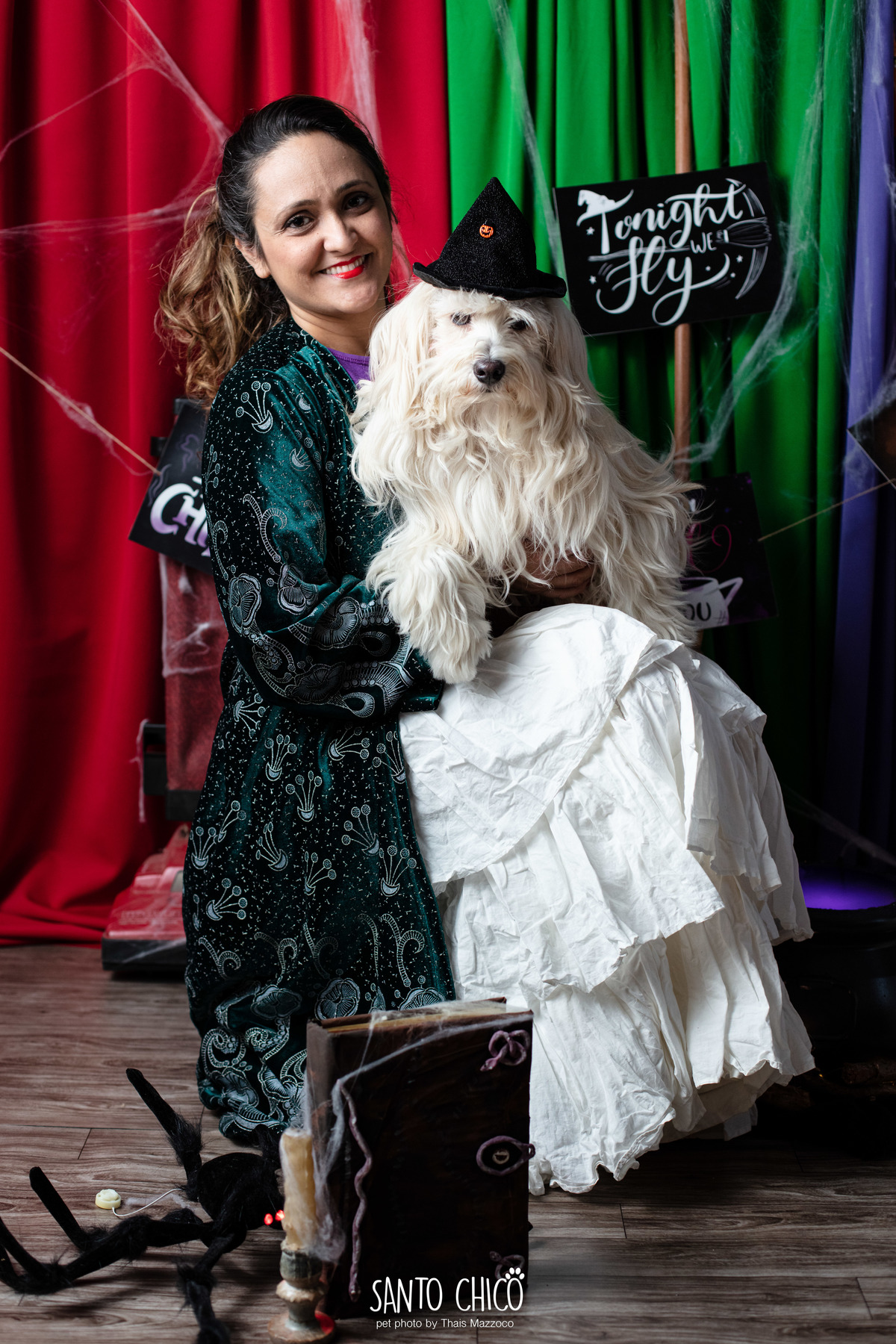 ensaio pet dia das bruxas santo chico fotografia halloween