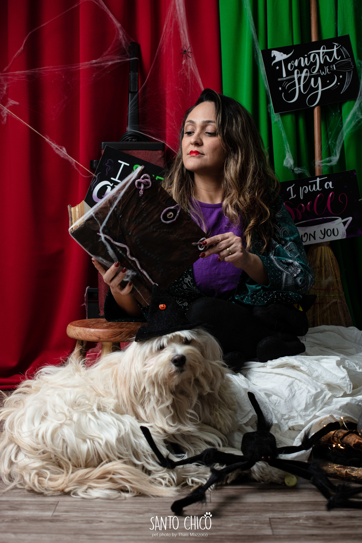 ensaio pet dia das bruxas santo chico fotografia halloween
