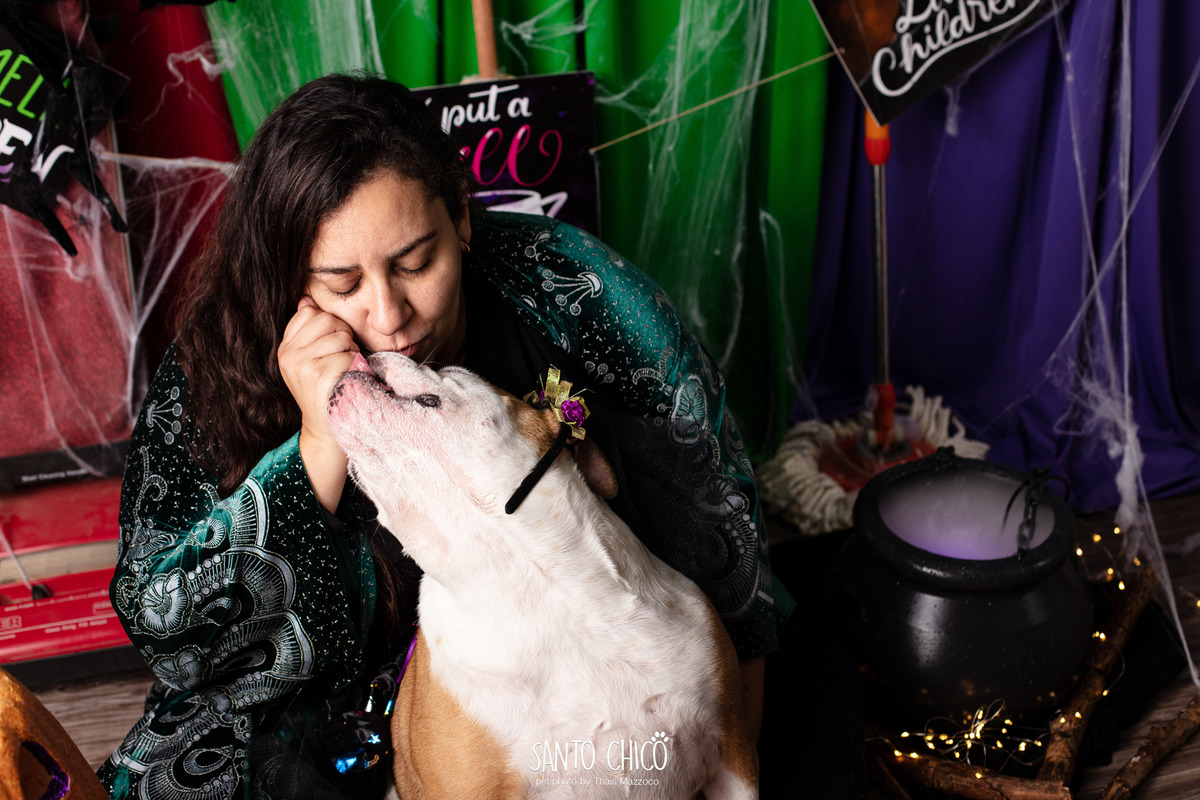 ensaio pet dia das bruxas santo chico fotografia halloween abracadabra disney hocus pocus 2 disney plus