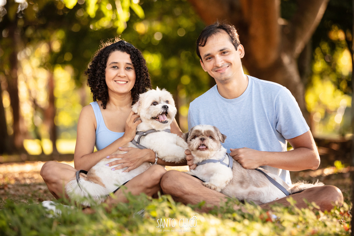 ensaio pet ao ar livre - parque villa lobos - fotografa pet - estudio - campinas