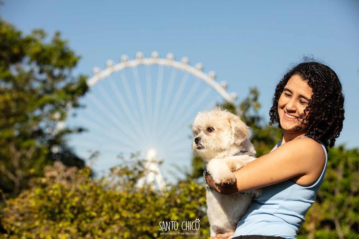 ensaio pet ao ar livre - parque villa lobos - fotografa pet - estudio - campinas - roda gigante