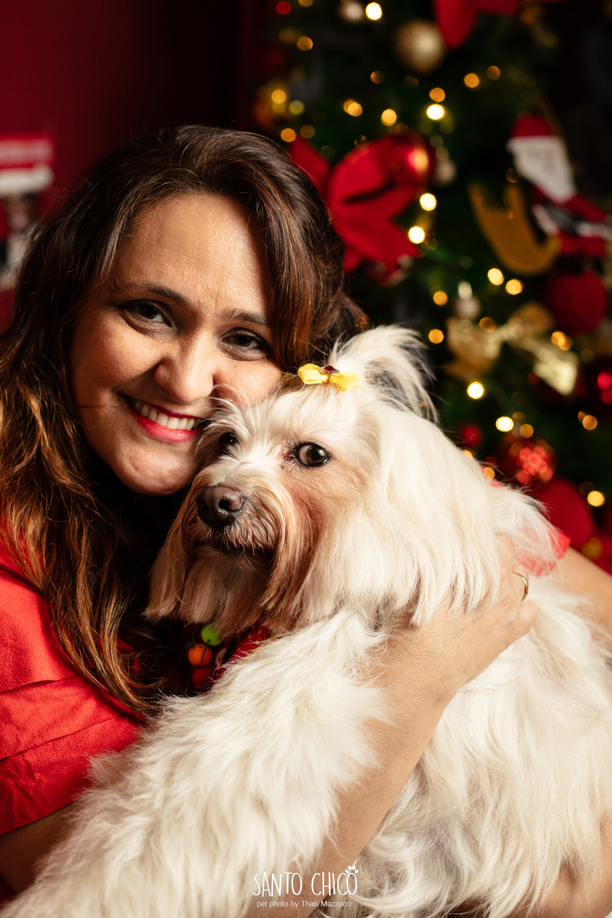ensaio-natal-pet-estudio-natalino-cachorro