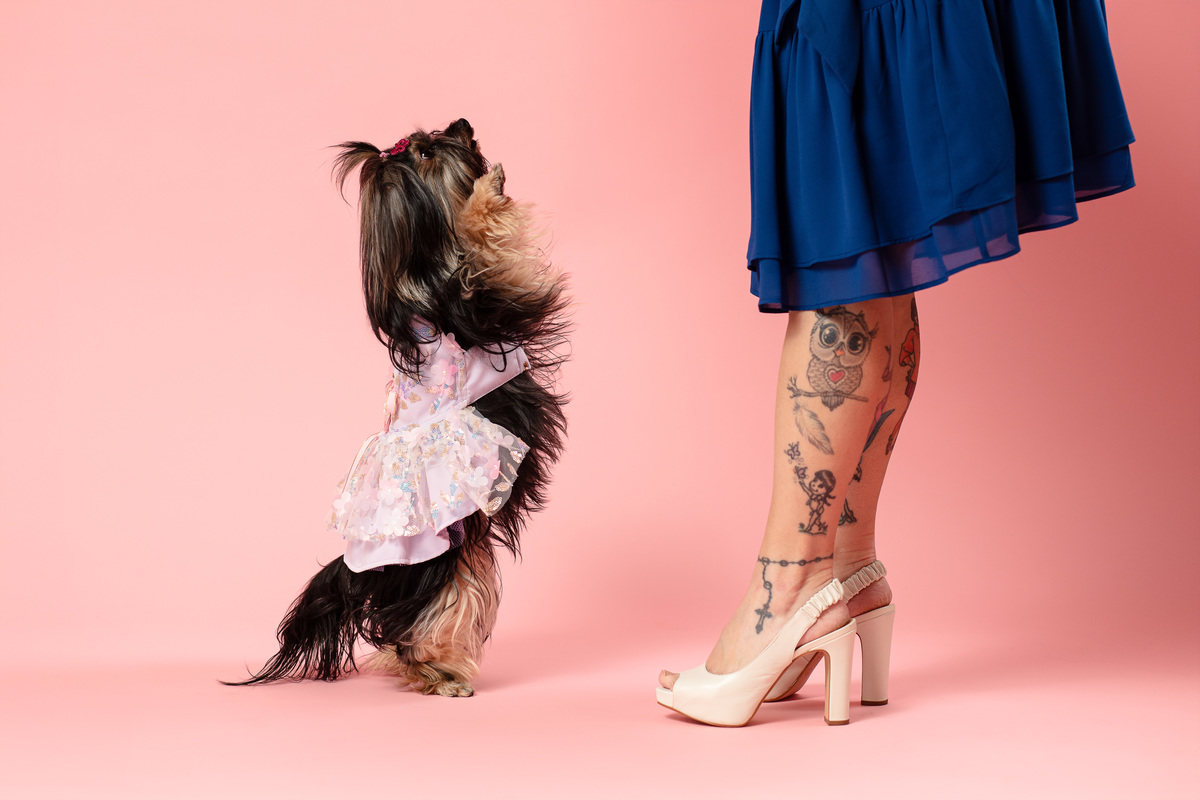 Ensaio pet, minimalista, yorkshire, mãe de pet, fundo rosa, veterinaria, fotografia com pet, animal de estimação, fundo boho, iluminação de estúdio, fotografia profissional, cachorra, filhote