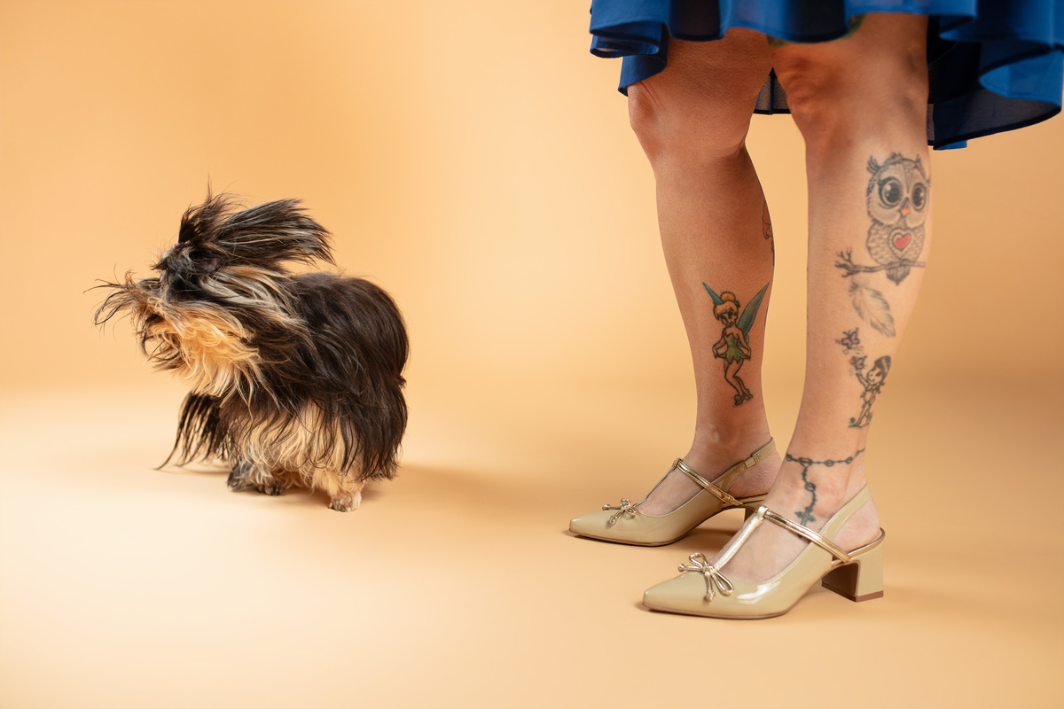 Ensaio pet, minimalista, yorkshire, mãe de pet, fundo rosa, veterinaria, fotografia com pet, animal de estimação, fundo boho, iluminação de estúdio, fotografia profissional, cachorra, filhote