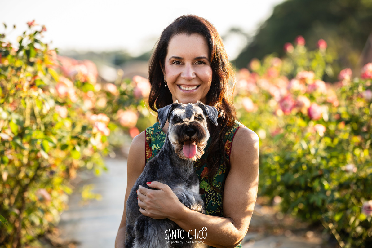 ensaio pet externo - schnauzer -  holambra - macena flores - santo chico fotografia pet - campo de flores