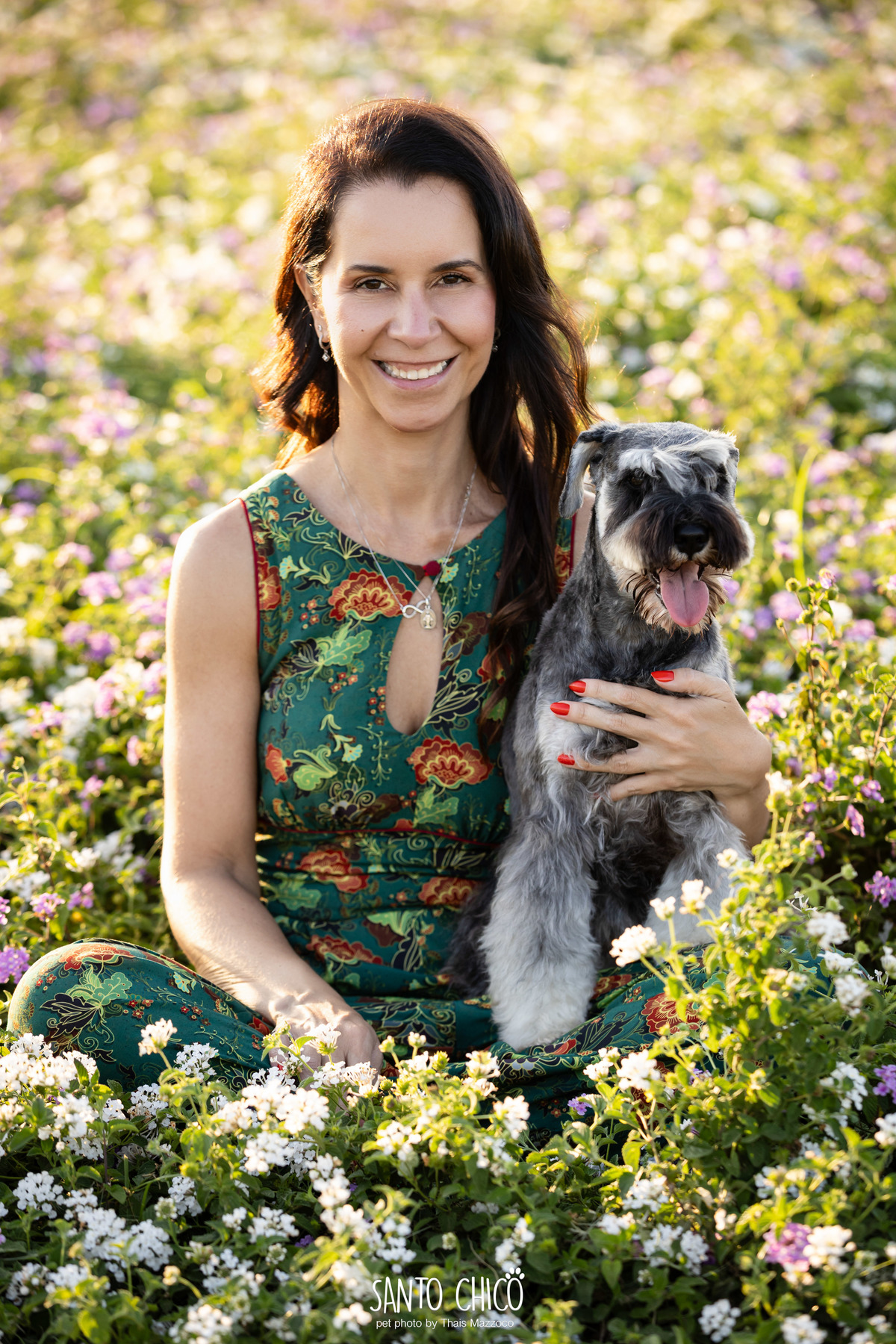 ensaio pet externo - schnauzer -  holambra - macena flores - santo chico fotografia pet - campo de flores
