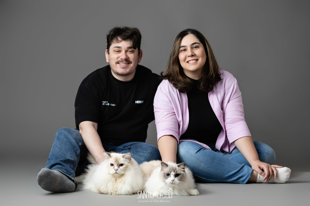 familia com pet, gatos, ragdoll, felinos, ensaio pet, estudio pet, campinas, thais mazzoco