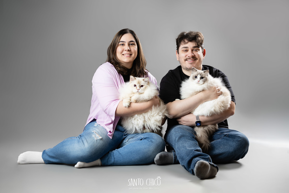 familia com pet, gatos, ragdoll, felinos, ensaio pet, estudio pet, campinas, thais mazzoco