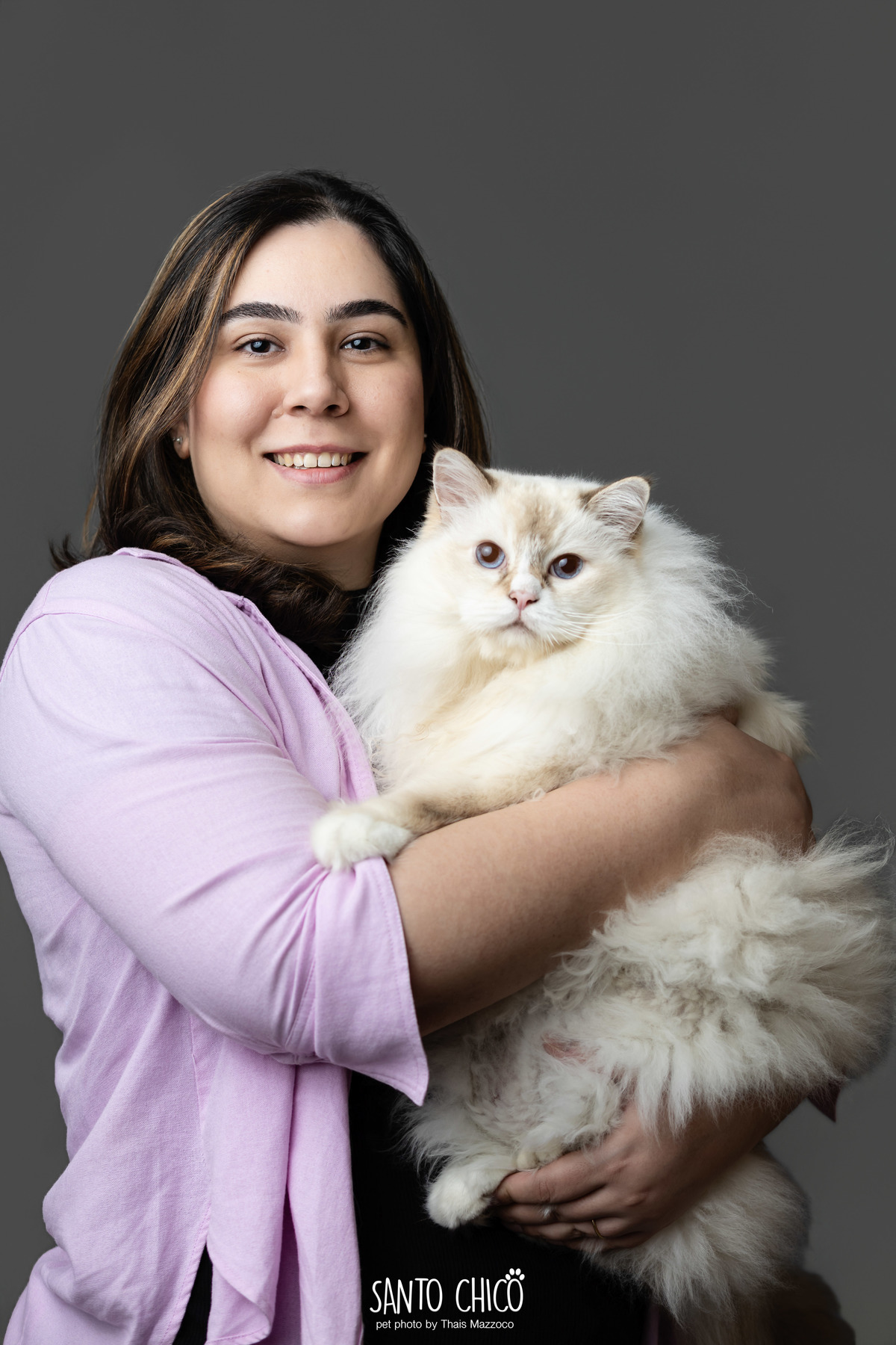 familia com pet, gatos, ragdoll, felinos, ensaio pet, estudio pet, campinas, thais mazzoco